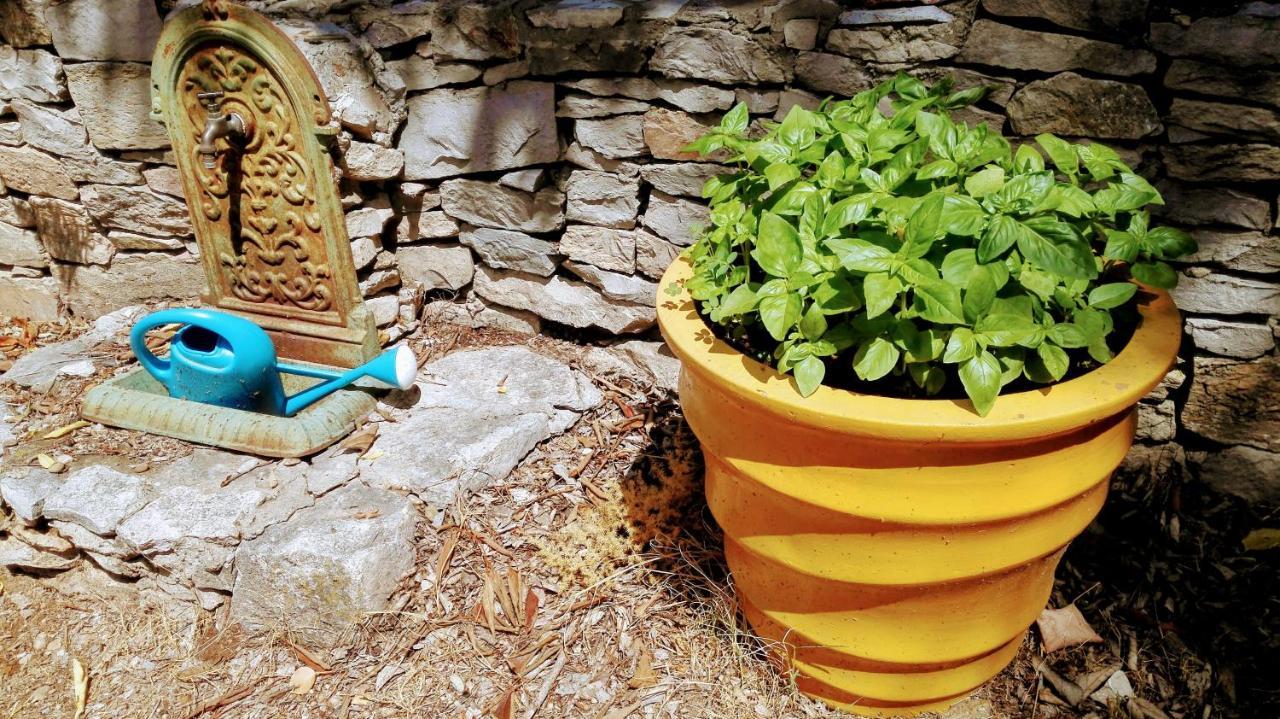 Nimes En Garrigues Bed & Breakfast Екстериор снимка